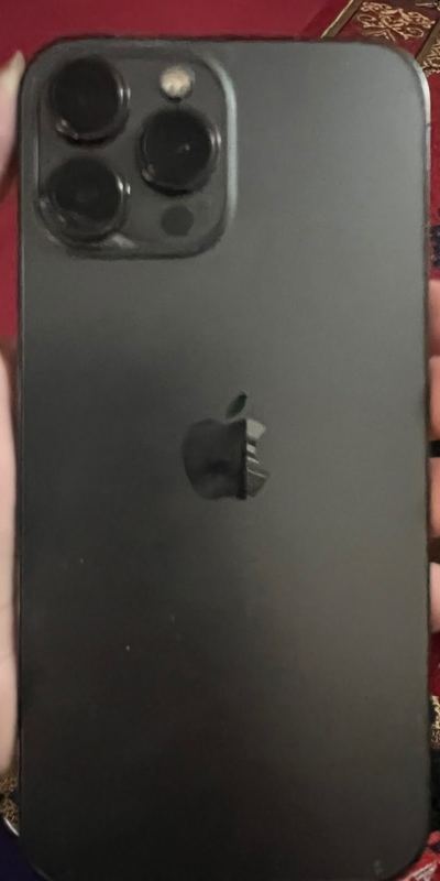 Apple iPhone 13 Pro Max (256 GB)