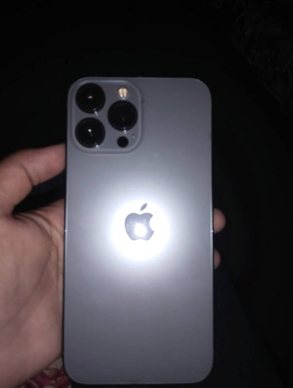 Apple iPhone 13 Pro Max (256 GB)